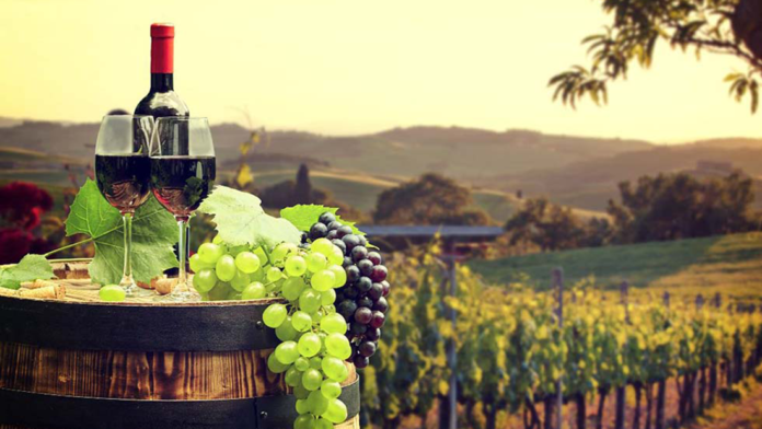 Catálogo de rutas enoturísticas