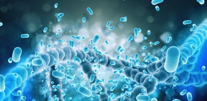 La importancia de la salud intestinal