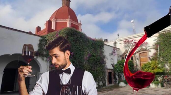 VinoFest Internacional