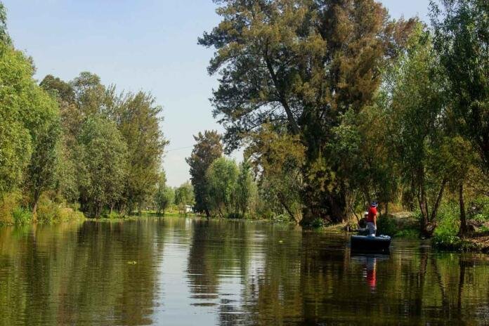 Celebran en Xocbimilco el Día de la Gastronomía