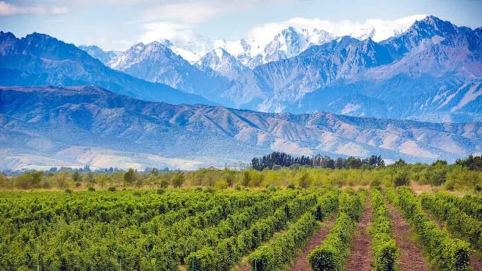 Promueven Argentina en Ciudad de México