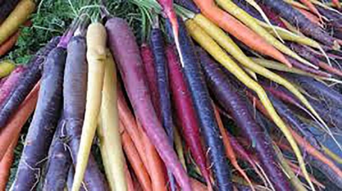 Es originaria de Afganistán