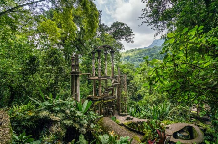 Día Internacional de los Bosques Tropicales