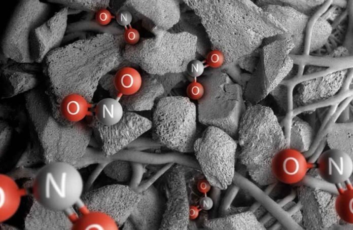 Imperfecciones de la piel