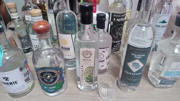 Variedad de mezcales provenients de Michoacán