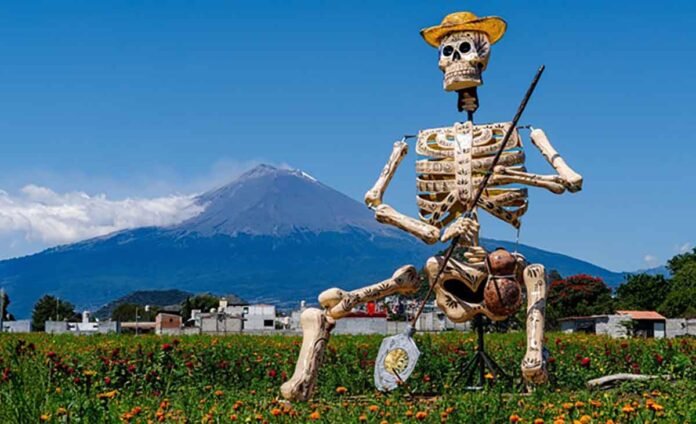 Celebra el Día de Muertos